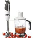 Hand Held Blender