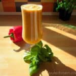 Healthy Vita Mix Recipes Make Me Feel Better